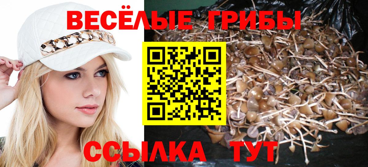 Галлюциногенные грибы Cubensis  Вход с VPN  Рязань  Псилоцибиновые грибы ЛСД 