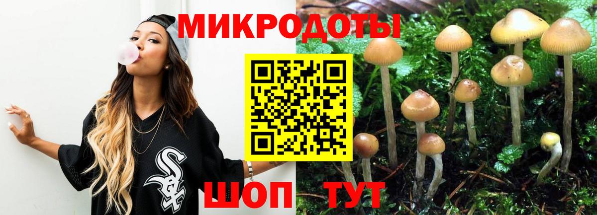 Галлюциногенные грибы Magic Shrooms Рязань